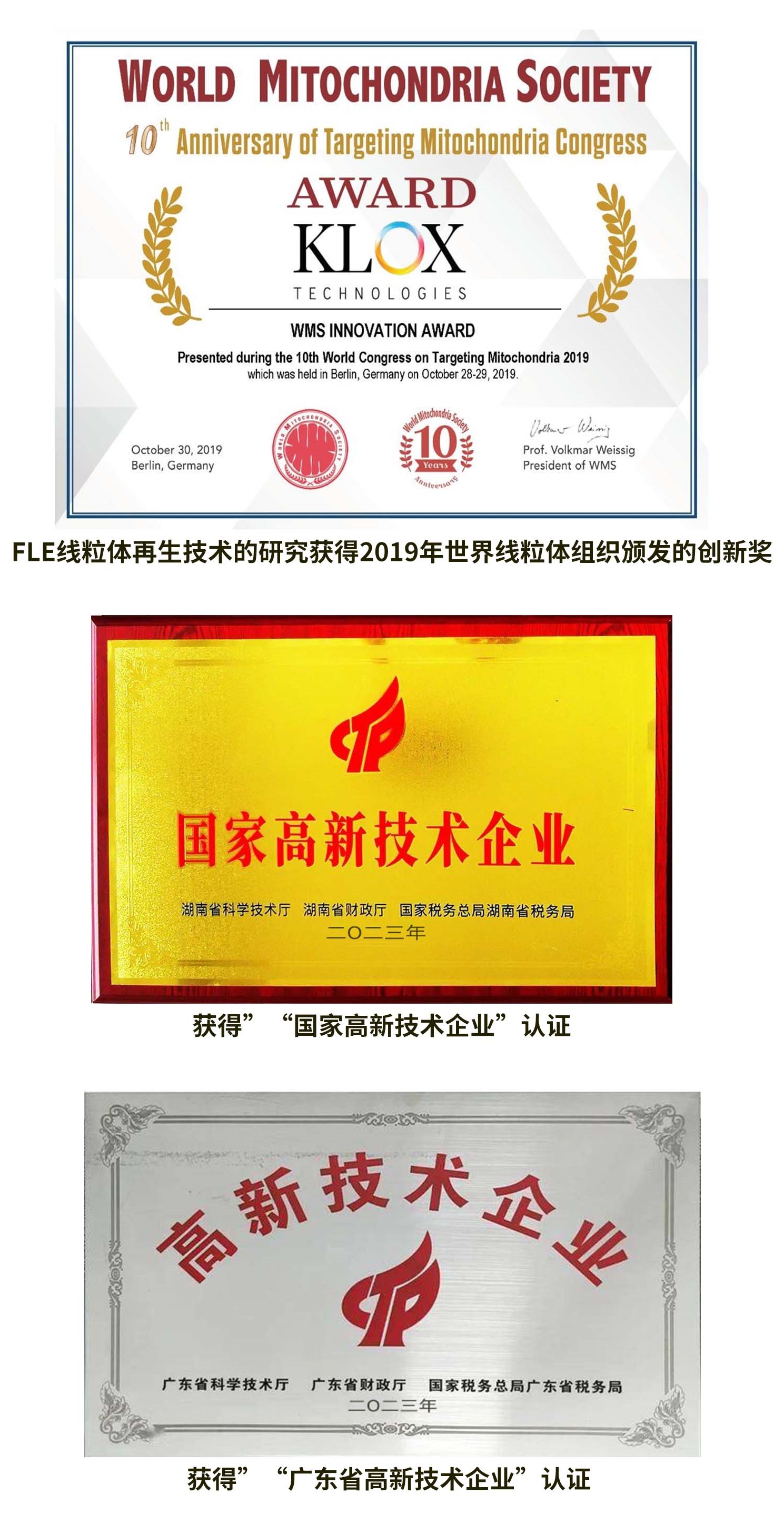FLE線粒體再生技術的研究獲得2019年世界線粒體組織頒發的創新獎